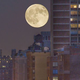 Illustration for article titled Has the Moon created the worlds most enduring optical illusion?